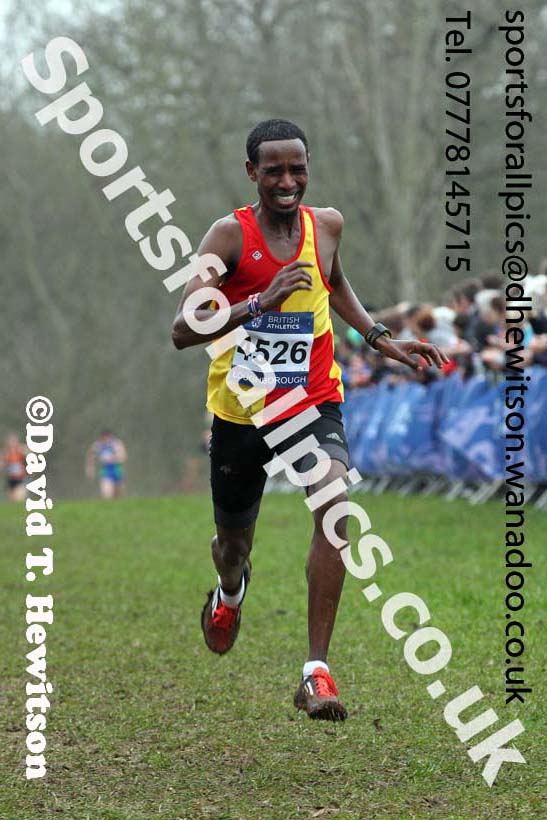 Senior mens Inter Counties Cross Country, Prestwold Hall, Loughborough. Photo: David T. Hewitson/Sports for All Pics